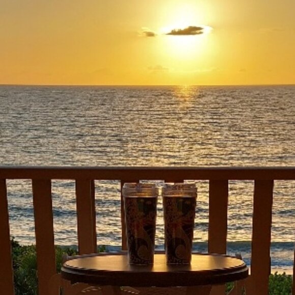 Pair of Royal Carribean Coca-Cola Insulated Drink Tumblers w/Lids New in Package - Picture 9 of 9